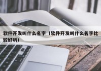 软件开发叫什么名字（软件开发叫什么名字比较好听）