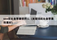 seo优化金苹果软件二（关键词优化金苹果效果好）