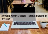 软件开发为主的公司名称（软件开发公司主要做什么的）